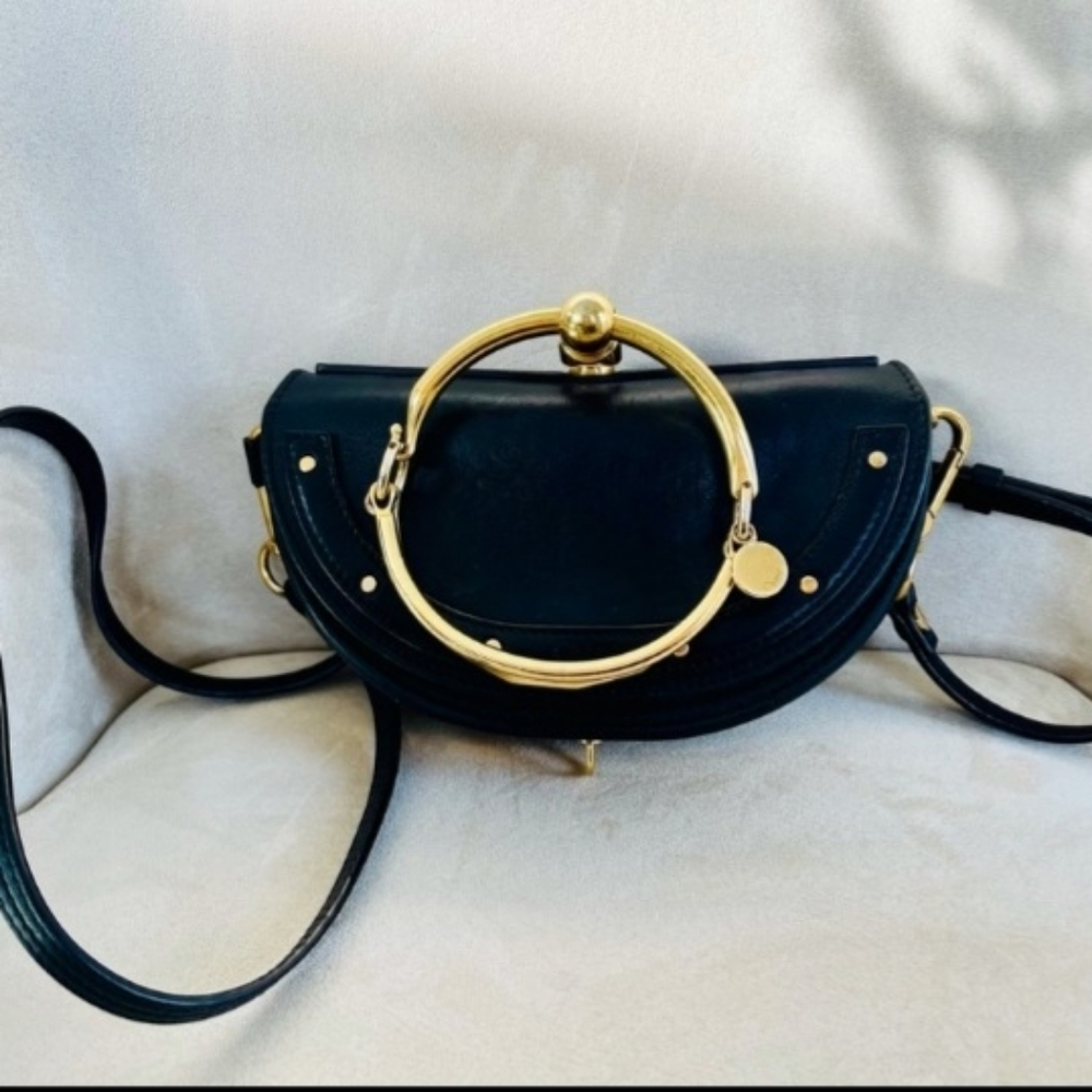 Chloe Nile Bag